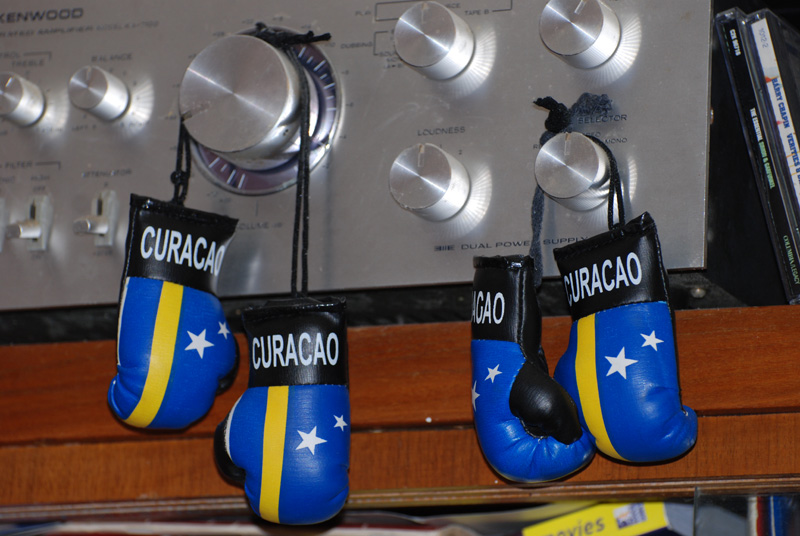 BoxingGloves_0058sm