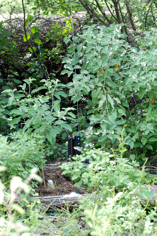 DXE_4SQ_Ant2_0356