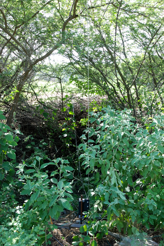 DXE_4SQ_Ant2_9574