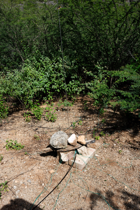 DXE_4SQ_Ant3_9565