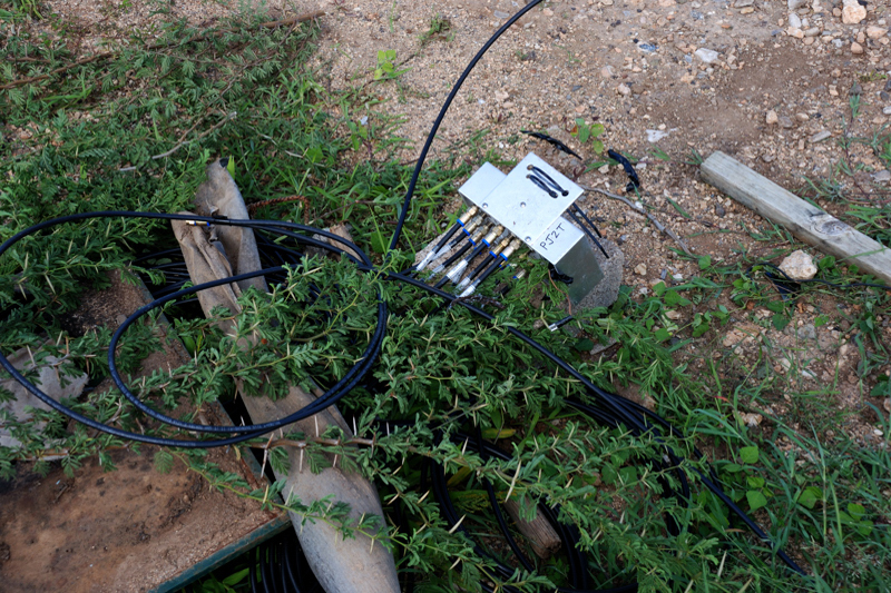 DXE_4SQ_Feedpoint_9564