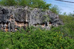 Cliffs_0353