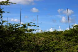 FlagAntennas_9552