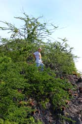 GeoffAtEUBev_9339