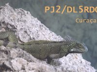 PJ2 DL5RDO 2010a